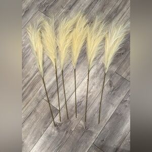 Decorative Pampas Grass Stems